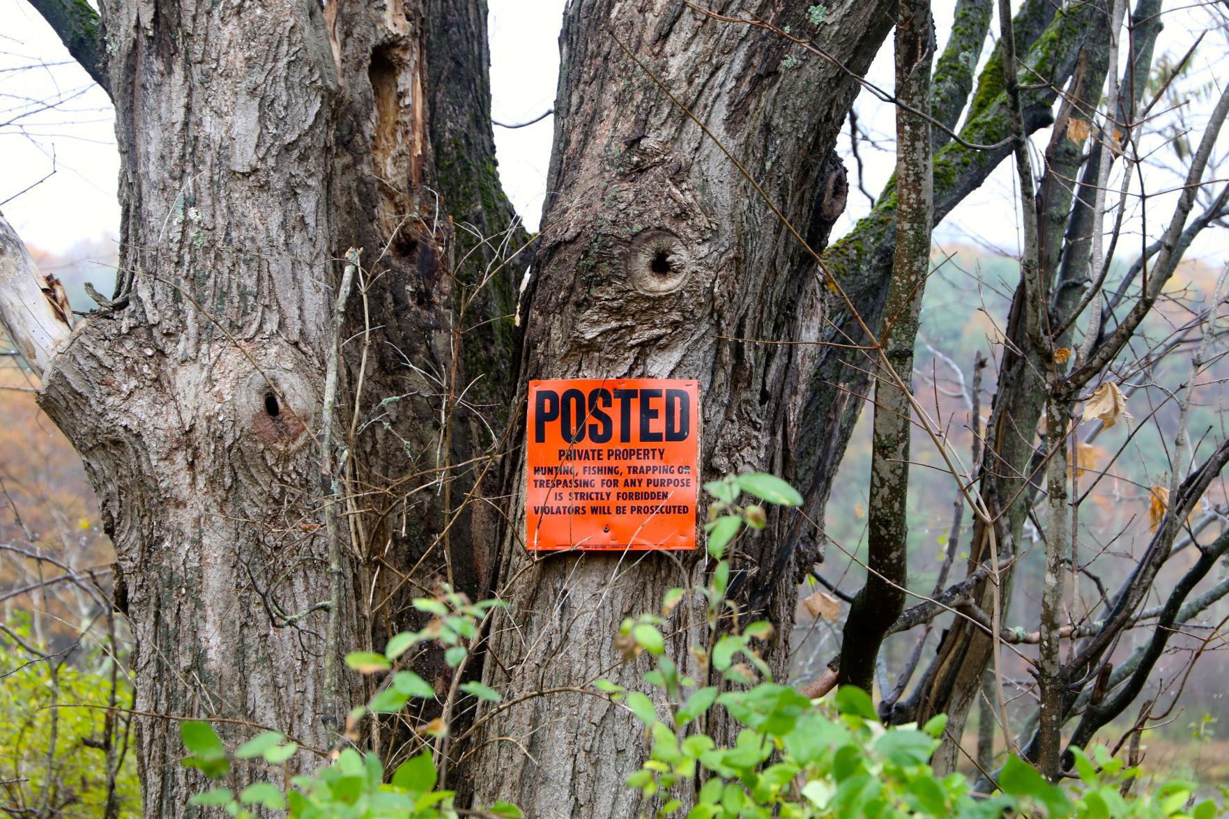 Dionondehowa Wildlife Sanctuary